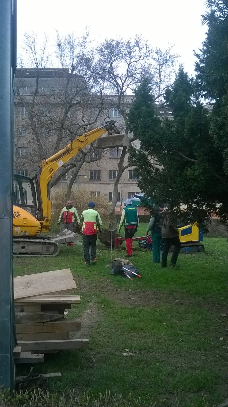 Građani su zgroženi: Magnolije više neće  krasiti zagrebački trg