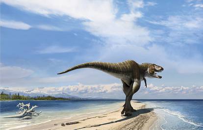 Našli su strašnog ujaka T-rexa koji je živio prije 80 milijuna godina