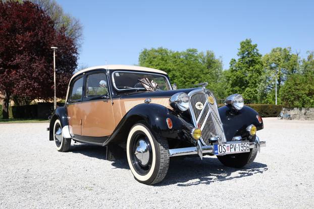 Osijek: Festival cvijeća i drveća 2026.