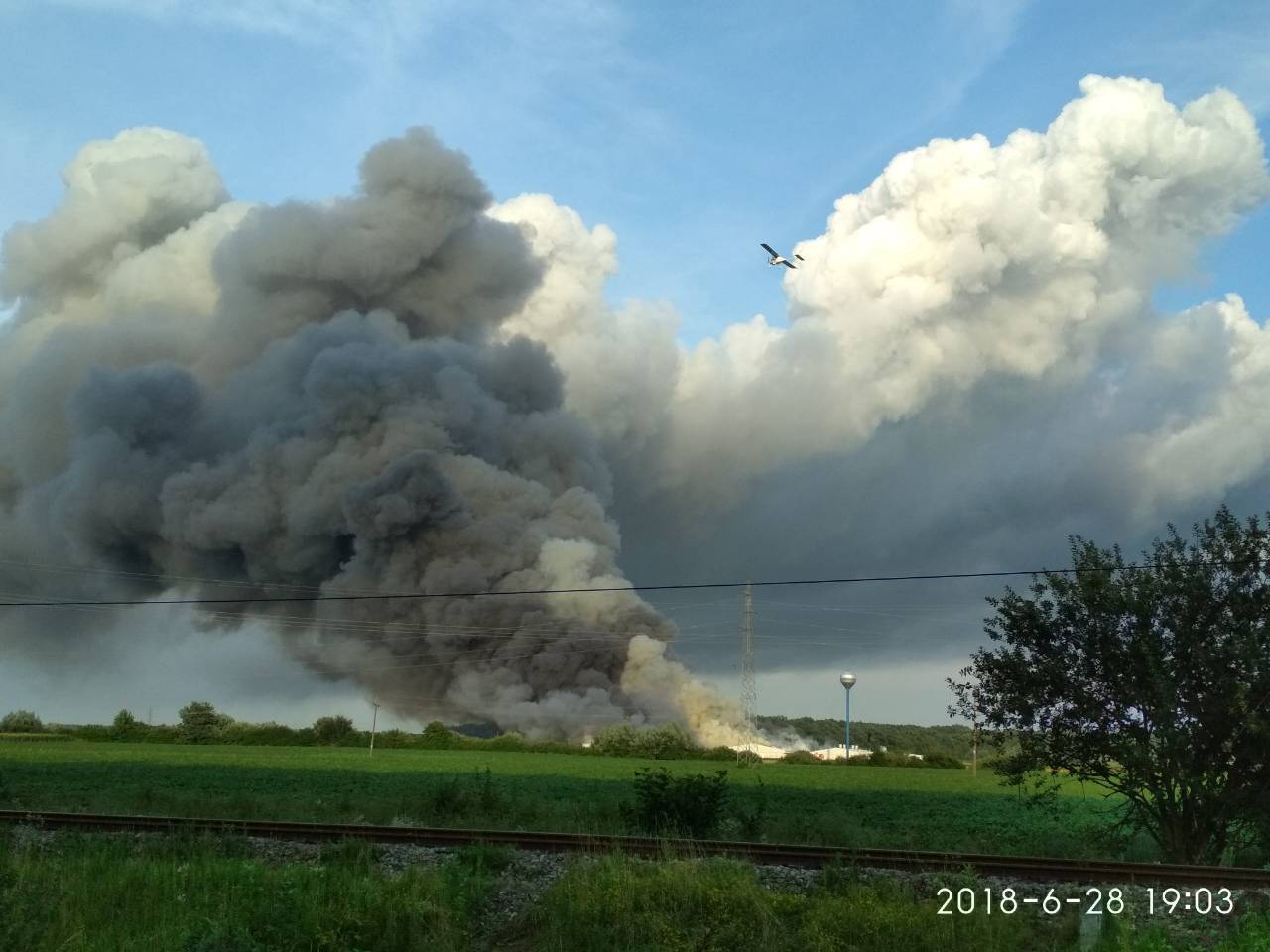 Izgorjelo 1000 svinja na farmi? Veliki požar su gasili do jutra