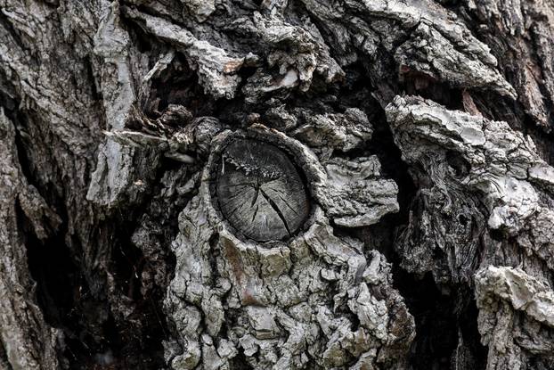 Zagreb: Šoderice Blato omiljeno su okupljalište lokalnih ribiča