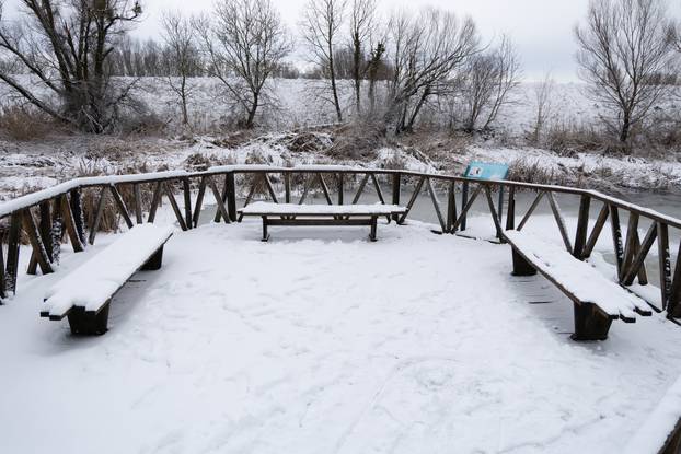 Kopački rit: Zimska idila u Baranji 