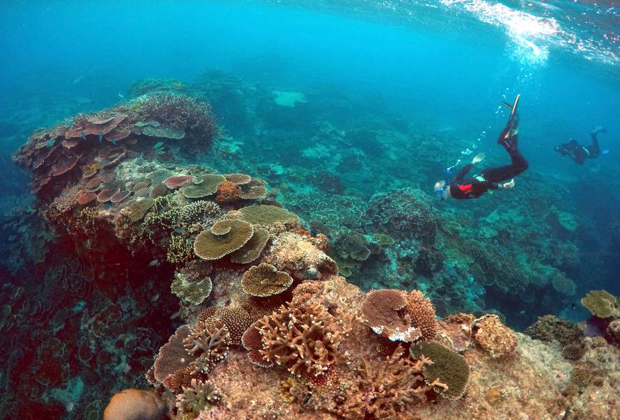 Peter Gash, owner and manager of the Lady Elliot Island Eco Resort, snorkels during an inspection of the reef's condition in an area called the 'Coral Gardens' located at Lady Elliot Island and north-east from the town of Bundaberg in Queensland