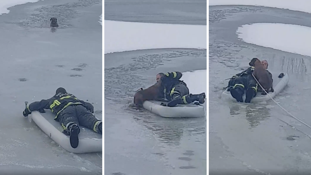 Propao kroz led: Vatrogasac u Vukovaru junački izvukao psa