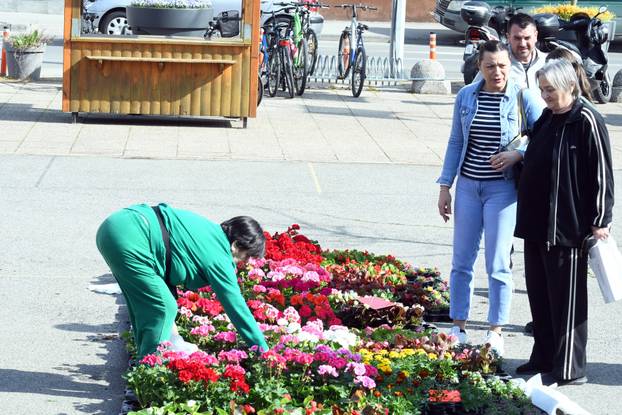 Sisak: Subotnja ponuda cvijećana tržnici