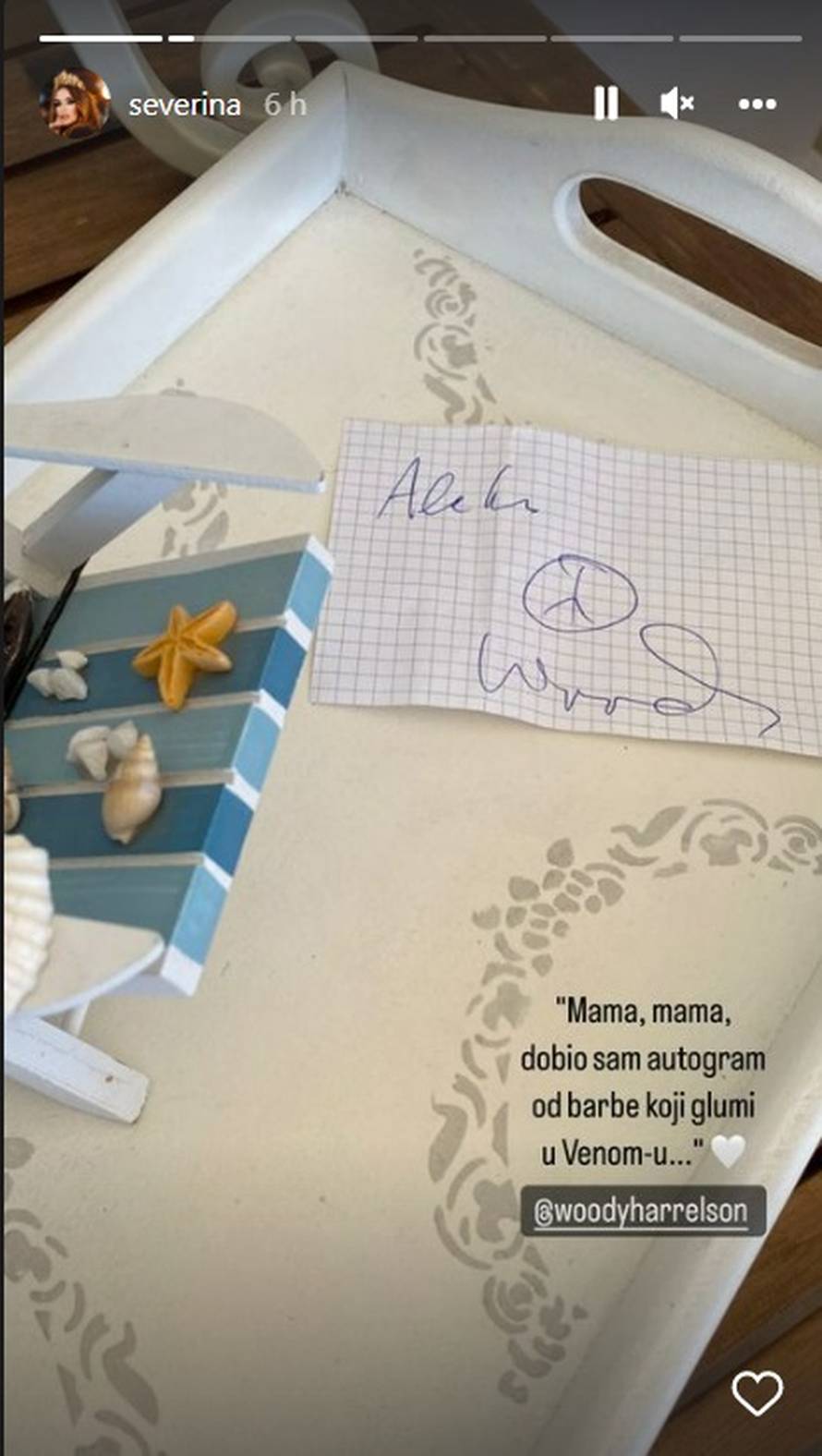 Severina na večeri upoznala holivudske face, reper P. Diddy ju odmjerio od glave do pete...