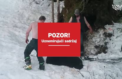 Spavali zimski san: Otac i sin ubili medvjedicu i mladunce...