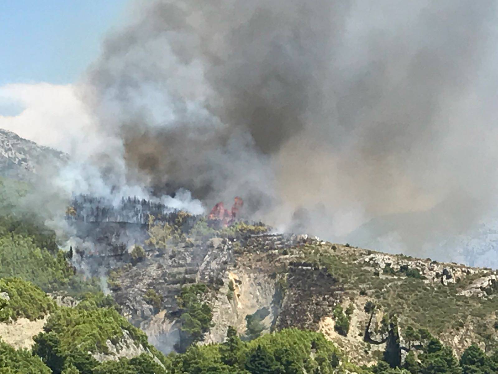 Vatra se širi: Dvije kuće skoro izgorjele, turisti spašavali aute