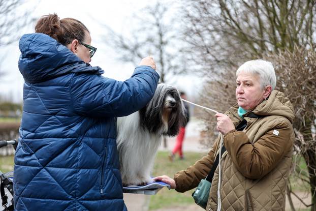 Izložba pasa svih pasmina ispred shopping centra Westgate City u Zaprešiću