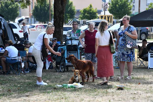 Požega: Nacionalna izložba pasa "CAC Požega 2024."