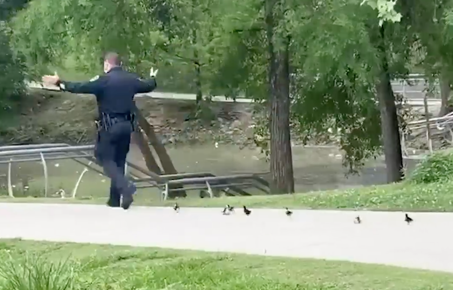 Policajac na zadatku: Pratili ga pačići dok im nije pomogao