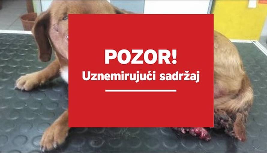 Umirao je u agoniji: Peppu je netko sjekirom odrezao nogice