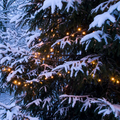 Meteorolog otkrio kolike su šanse da imamo bijeli Božić
