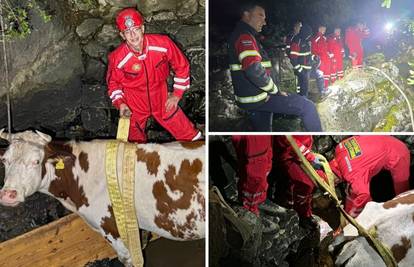 Ljubimicu Alfu su spasili iz bunara: 'Rušili smo dio zida kako bi do nje došla dizalica...'