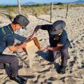 Turisti uzimaju pijesak i školjke na Sardiniji, kazne mogu biti i veće od 20 tisuća kuna