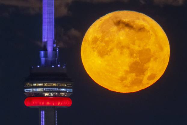 The August Super Blue Moon sets behind the CN tower in Toronto 
