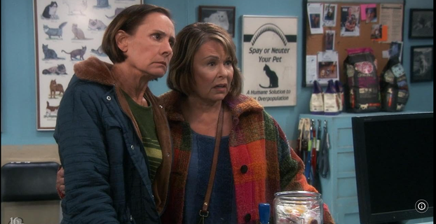 FOTO Glumačka postava serije 'Roseanne' 37 godina kasnije: Evo gdje su danas i što rade