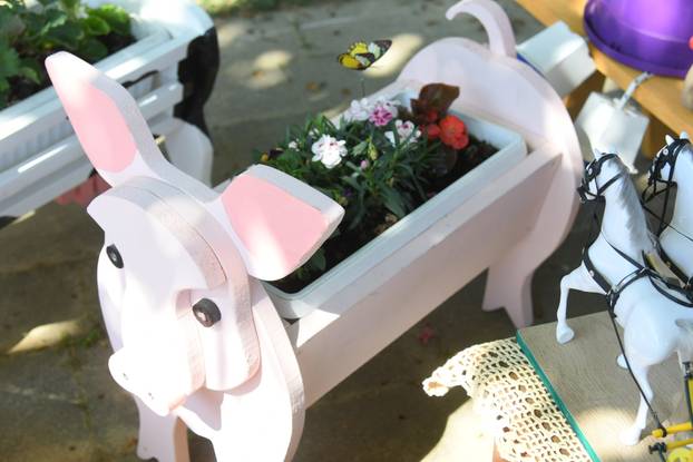 Obilježavanje Dana grada Križevaca uljepšano je cvjetnom manifestacijom "Križevci u cvijeću"