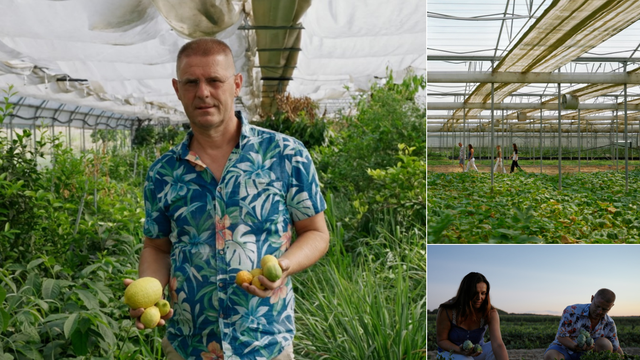 Ivan iz Bistre: 'Egzotično voće uzgajam već više od 20 godina'