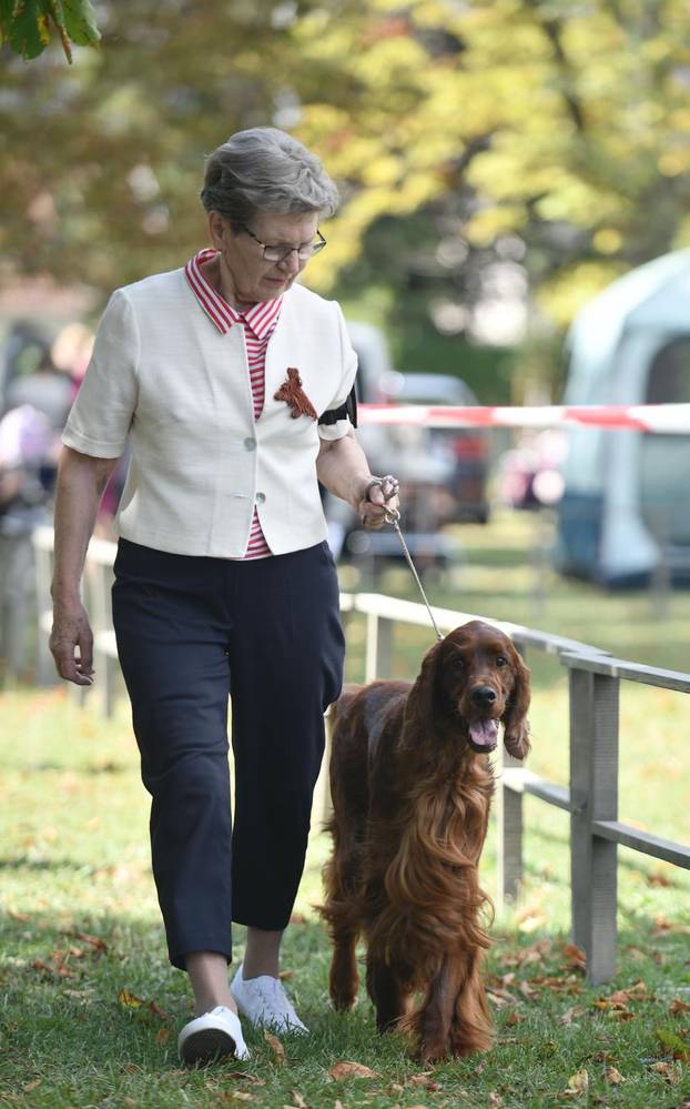 Nacionalna izložba pasa "Velika Gorica Trophy 2025"