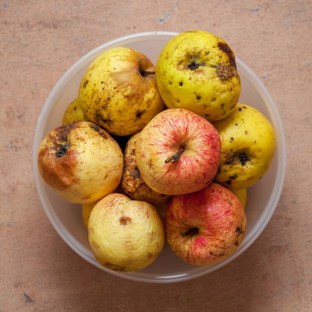 A few red-yellow overripe apples in a round bowl photographed fr