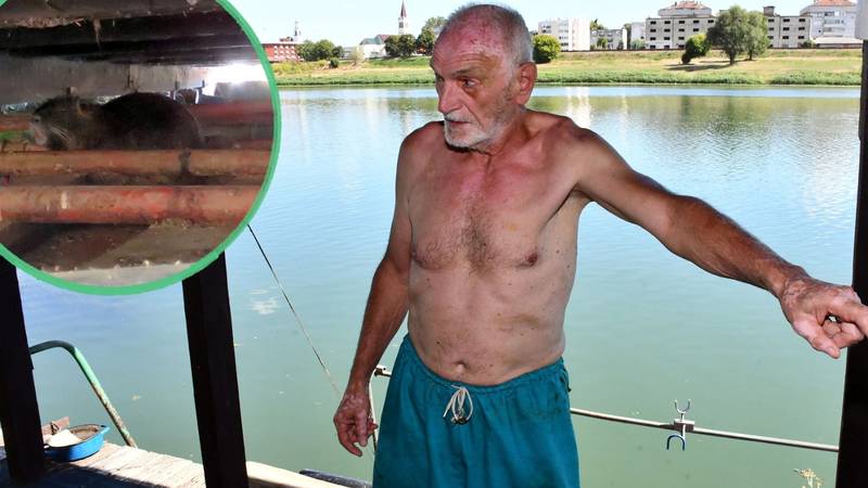 VIDEO Ispod Hasanovog splava dom su pronašli dabrovi: 'Mi splavari pazimo na prirodu'