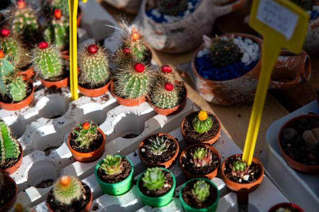 Zagreb: Brojni građani posjetili Floraart na Bundek