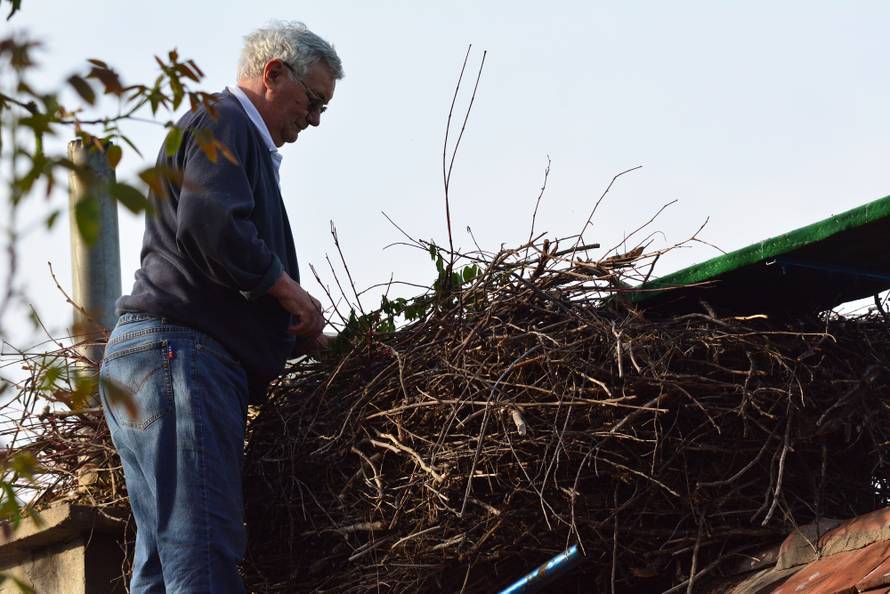Ipak je živ! Klepetan se vratio Malenoj, razbio jaje u gnijezdu