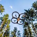 Pošumljavanje Grubišnog polja: To je prva sadnja šume dronom