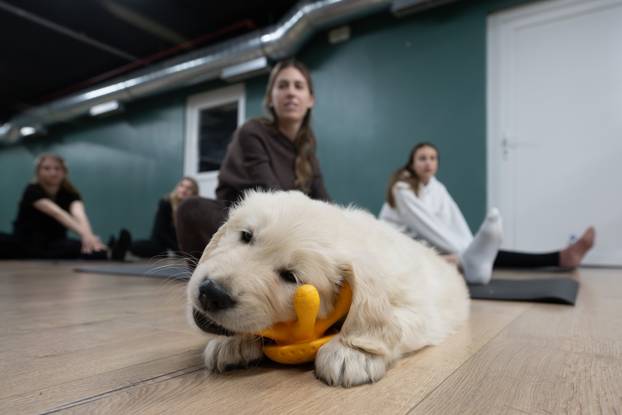 24SATA Paw Yoga, inovativni koncept joge koji je stigao u Hrvatsku