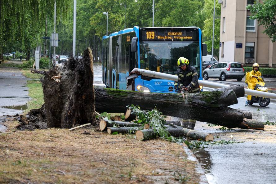 Zagreb: Vatrogasci uklanjaju stablo koje je palo u Ulici Svetog Mateja