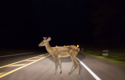 Sigurnija vožnja: Noću spustite svjetla i spriječite veliku štetu
