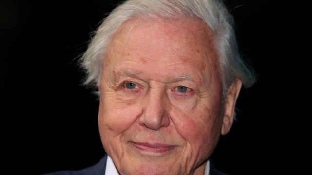 FILE PHOTO: Broadcaster and film maker David Attenborough attends the premiere of Blue Planet II at the British Film Institute in London