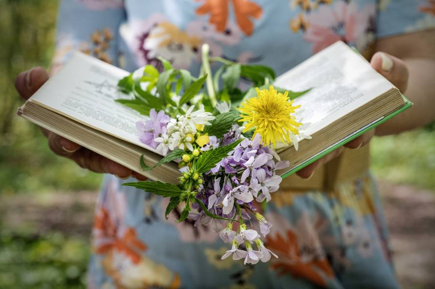 Otkrivamo zašto sve više kupaca bira Biljarica krute šampone i regeneratore