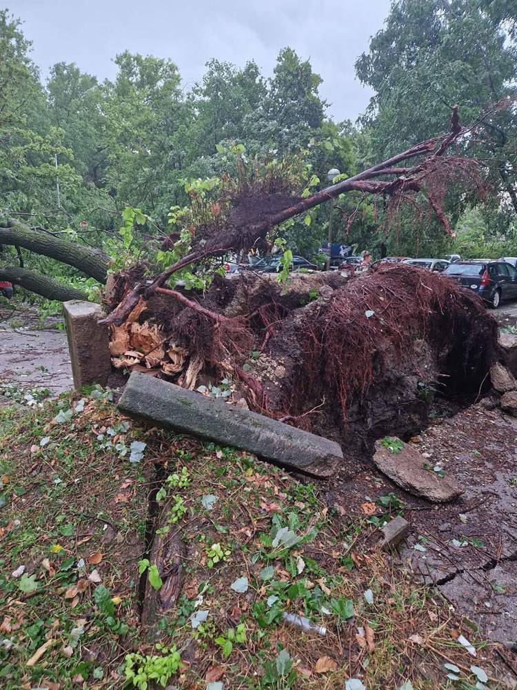 Ovo su posljedice nevremena u Hrvatskoj: Više od 4000 hitnih poziva, 2000 uništenih zgrada