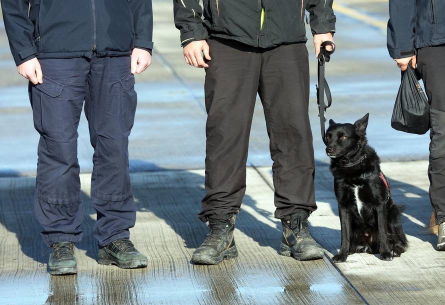 Psi koji su spašavali stradale u Albaniji vratili se u Hrvatsku