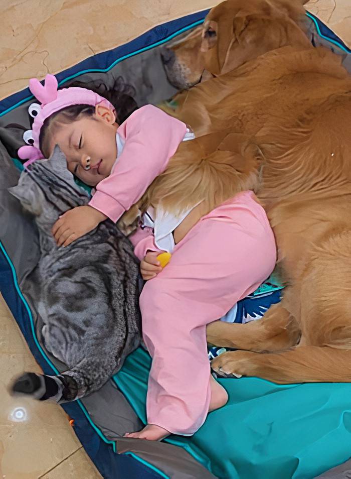 Najbolji prijatelji: Djevojčica se uvukla mački i psu u krevetić