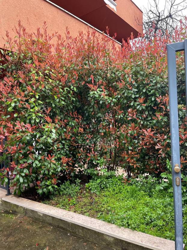 FOTO Ovo je najjeftiniji stan na oglasima u Splitu! 'Nalazi se blizu Marjana, a ima i vrt...'