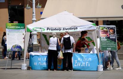 Prijatelji životinja tvrde: Lukač sumnja u podmetanje, ali ne i u moralnost svog posla