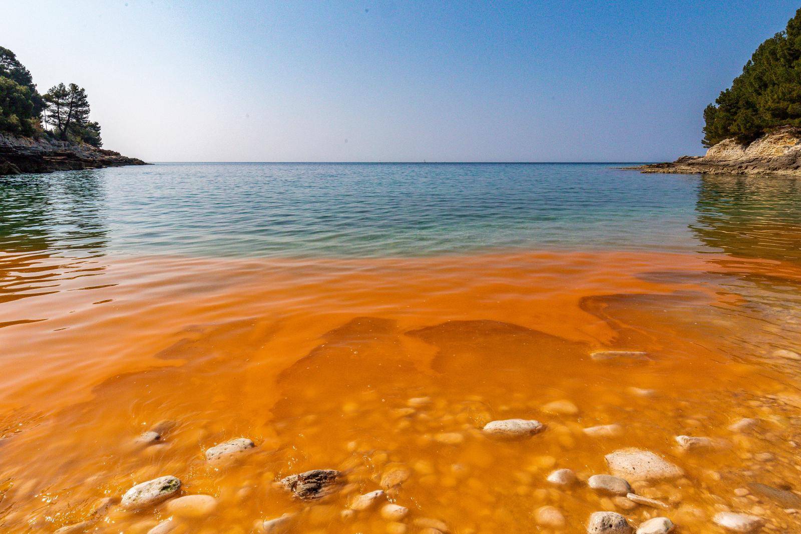 Cvjetanje mora na pojedinim pulskim plažama