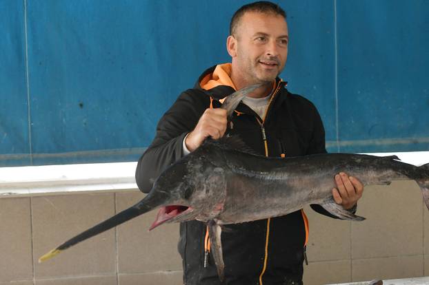 Šibenik: Sabljarka od 25 kg plijenila pozornost na ribarnici