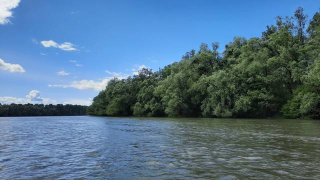 Jedan od posljednjih prirodnih ekosustava Europe: Znate li da Hrvatska ima svoju Amazonu?