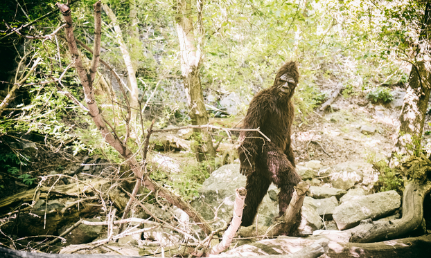 JEZA U Ohiju osmero ljudi kaže da je srelo Bigfoota! A sjećate se Nessie i Yetija? Evo 'gdje su'