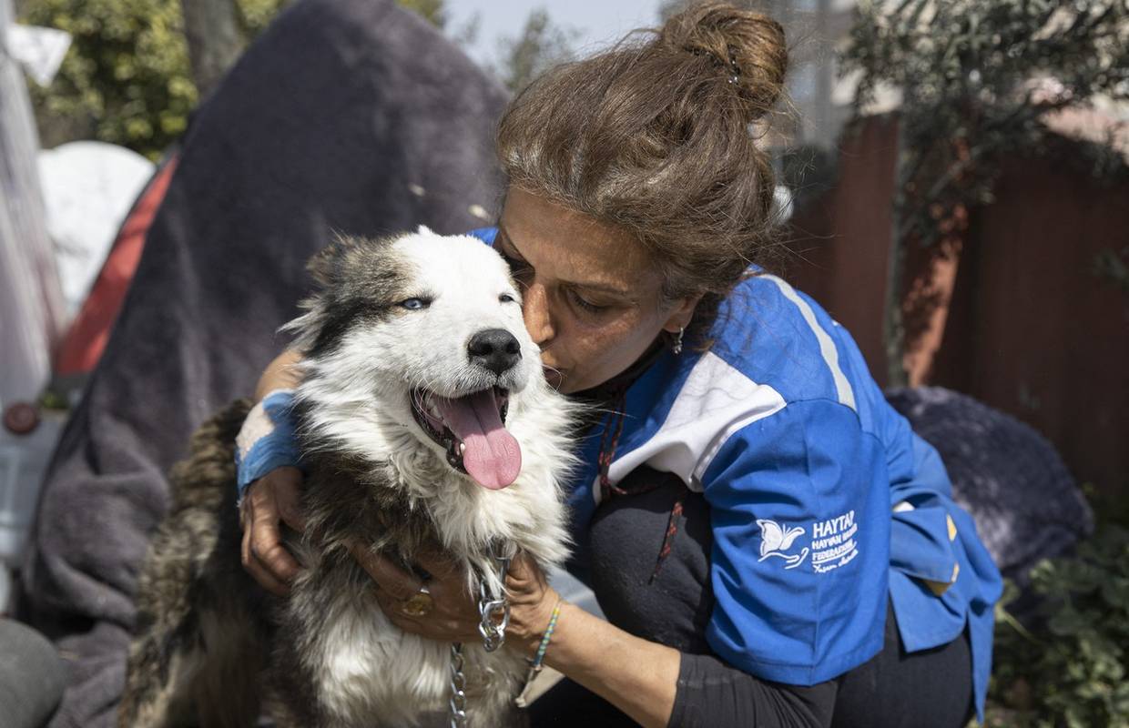 Novo čudesno spašavanje u Turskoj: 23 dana nakon potresa iz ruševina su spasili haskija