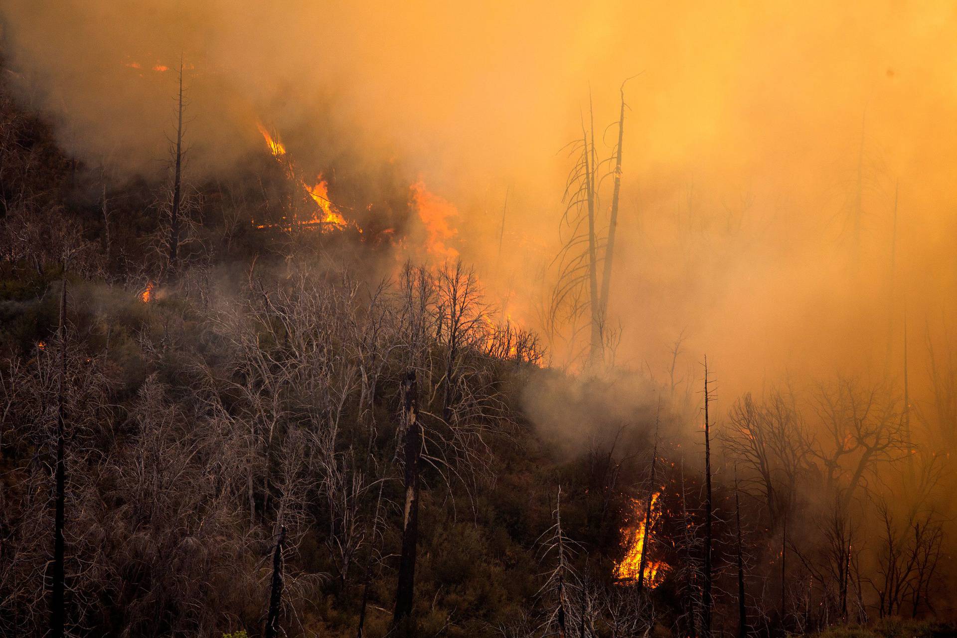 A wildfire burns in the Angeles National Forest during the Bobcat Fire in Los Angeles