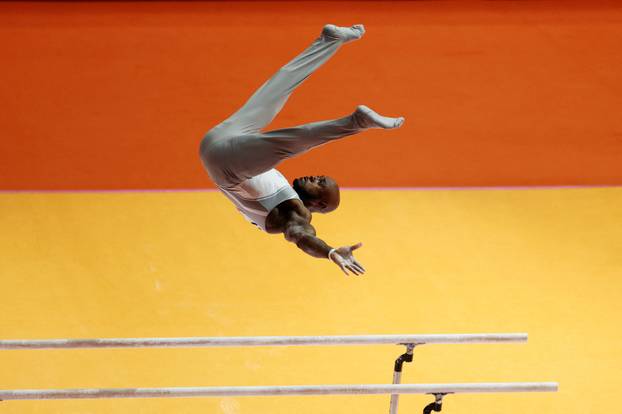 2025 World Artistic Gymnastics Championships