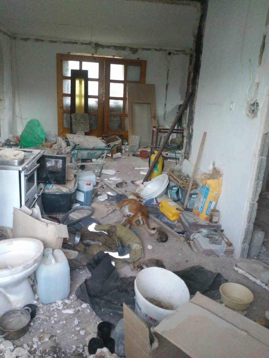 Tri tjedna držao kujicu bez hrane i vode: U međuvremenu je okotila štence, svi su uginuli