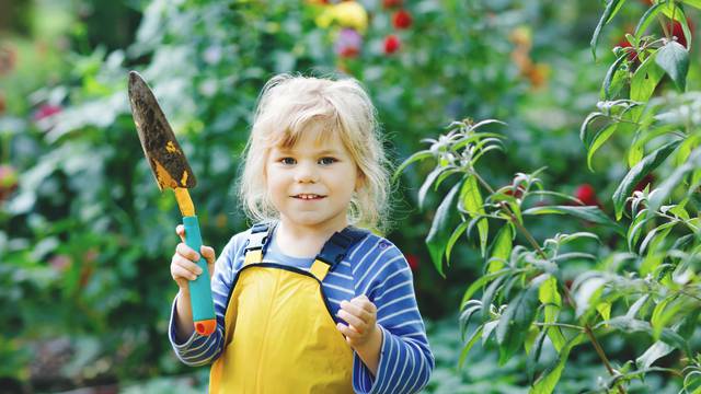 Adorable,Little,Toddler,Girl,Working,With,Shovel,In,Domestic,Garden.