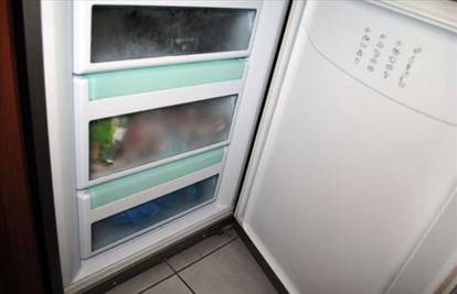 Svaki dan je koristila  hladnjak u kojem je skrivala mrtve bebe