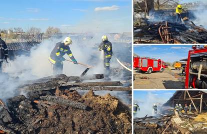 Vatrogasci brzom intervencijom ugasili požar u Đelekovcu i spasili pčele u blizini